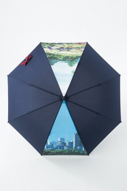 kiminonaha_kasa_20161122_5