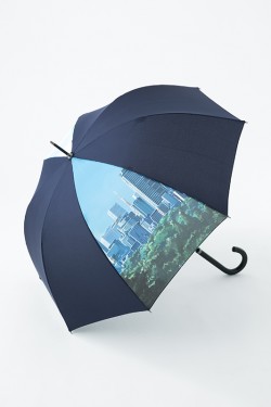 kiminonaha_kasa_20161122_6