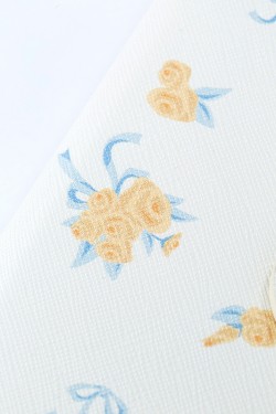 kinpri_hiroCASE_20160126_50