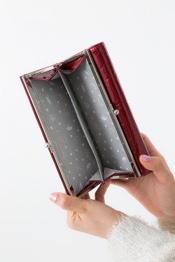 osowallet_20161206_29