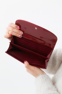 osowallet_20161206_30