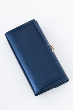 osowallet_20161206_42