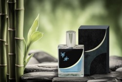 purimaniakus20160810_02_R