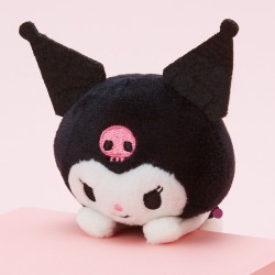 pyoconoru_20161205_14