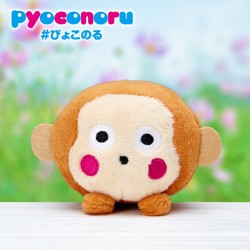 pyoconoru_20161205_3