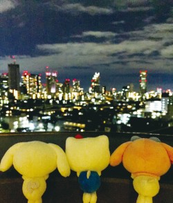 pyoconoru_20161205_36