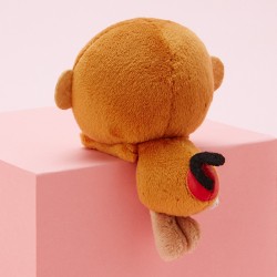 pyoconoru_20161205_6