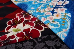 toukenkimono20170116_108