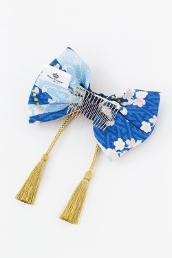 toukenkimono20170116_93