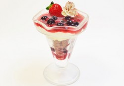 toukenmyu_20160426_04