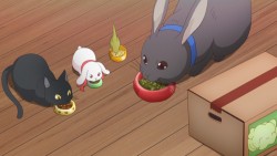 tsukiani_20160906_image06