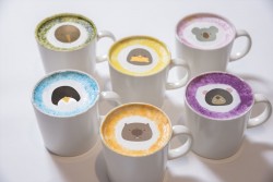 whonbattosan_20161101_8