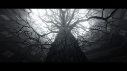 傷物語iz_Still1119_005_20151216