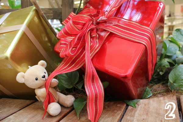 ぬい撮り 初心者講座応用編 ポーズや小物にこだわってシチュエーションを彩ろう Pash Plus