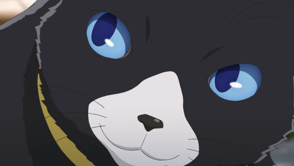 ペルソナ5 喜多川祐介 Cv 杉田智和 が本格登場 マダラメ編がスタート Pash Plus